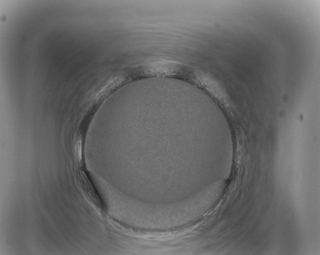 X0000085230021200703161322