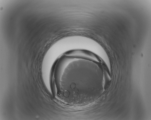 X0000085230031200703161322