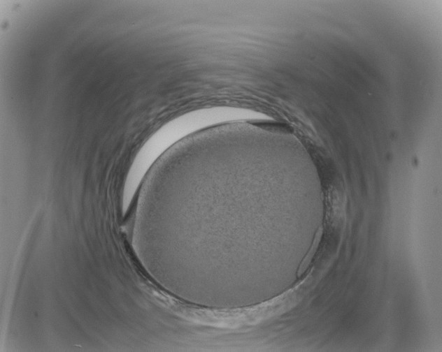 X0000085230033200703161322