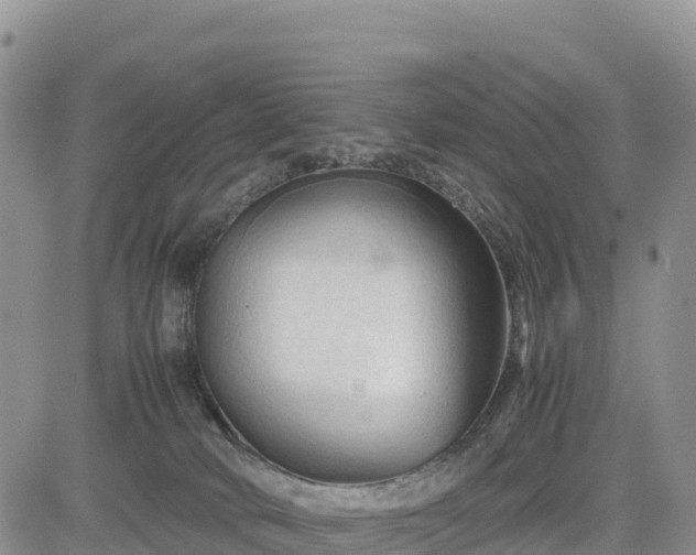 X0000085230034200703161322