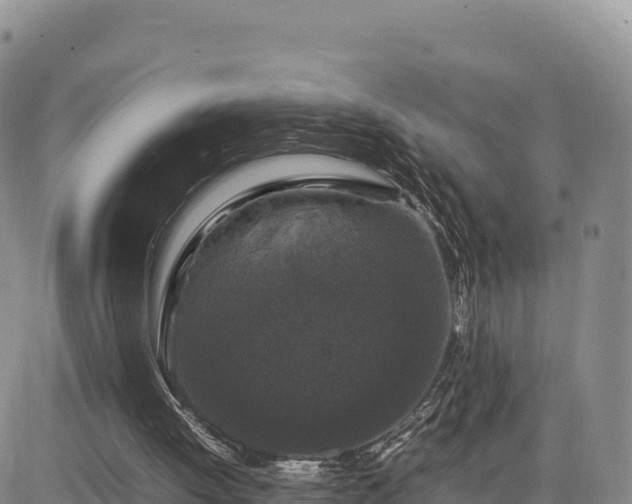 X0000085230052200703161321