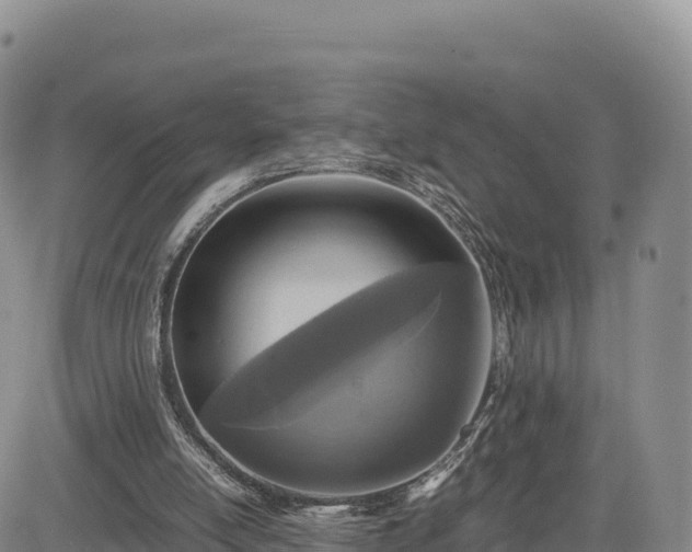 X0000085230054200703161321