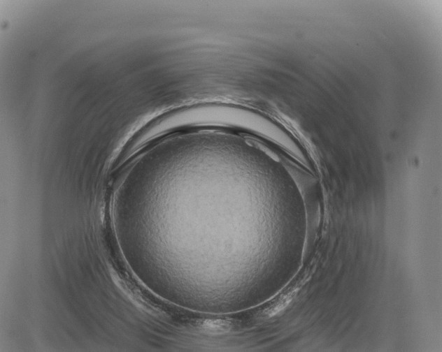 X0000085230060200703161321