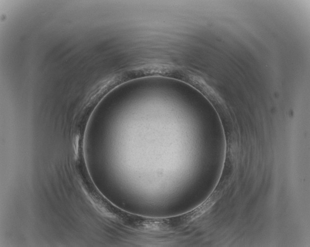 X0000085230070200703161321
