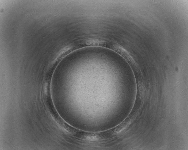 X0000085230071200703161321