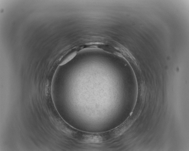 X0000085230073200703161321