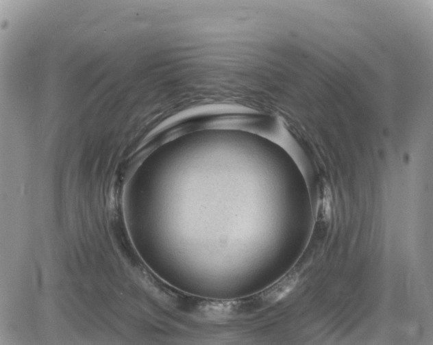 X0000085230084200703161321
