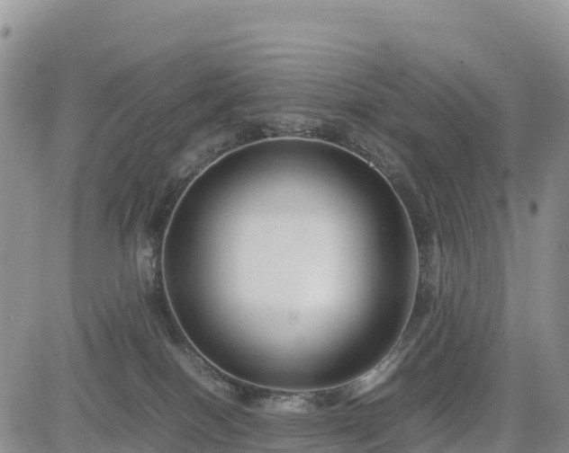X0000085230086200703161321