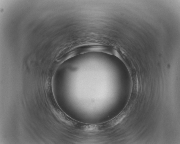 X0000085230088200703161321