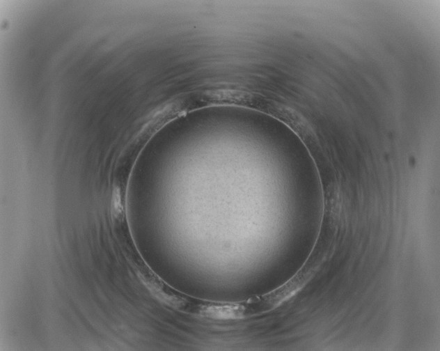 X0000085230089200703161321