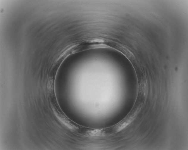 X0000085230092200703161321