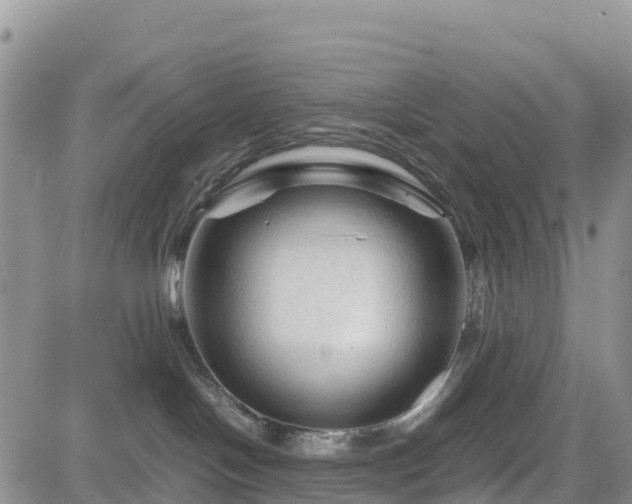 X0000085230094200703161321