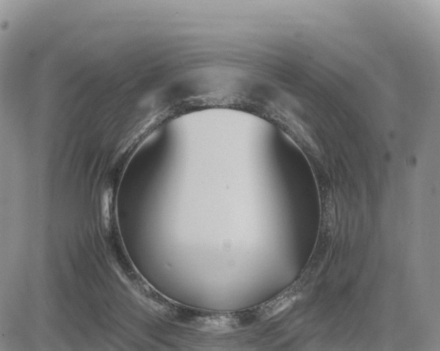 X0000085230118200703161320