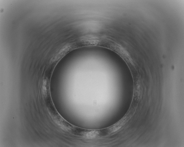 X0000085230122200703161320
