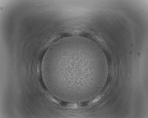 X0000085230131200703161320