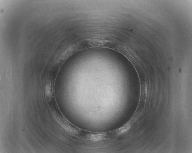 X0000085230134200703161320
