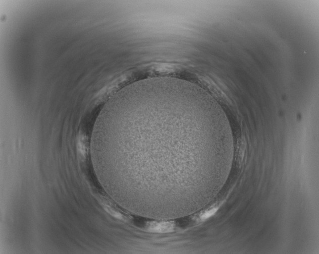 X0000085230135200703161320