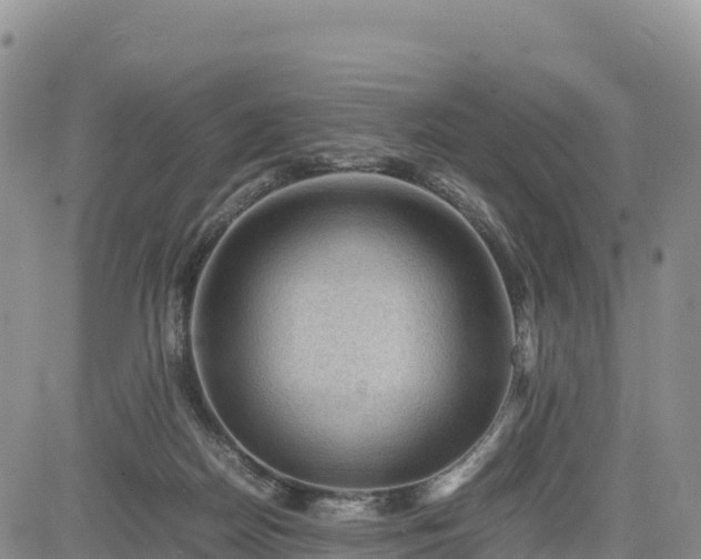 X0000085230170200703161319