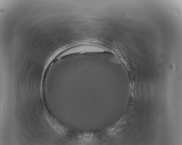 X0000085230196200703161319