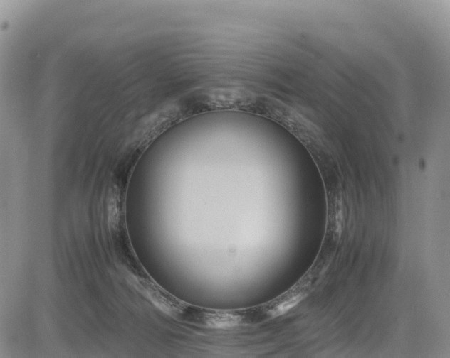 X0000085230226200703161318