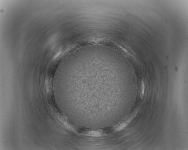 X0000085230236200703161318
