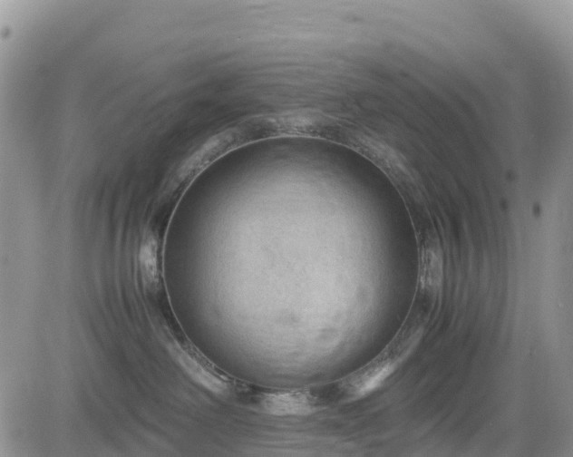 X0000085230238200703161318