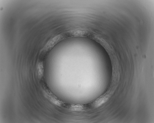 X0000085230240200703161318