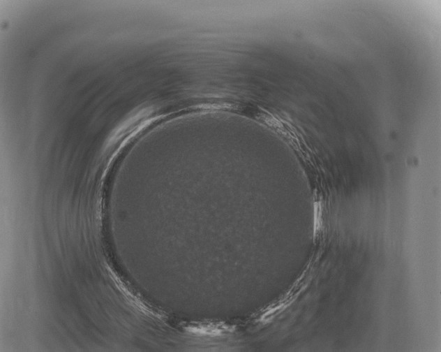 X0000085230243200703161317