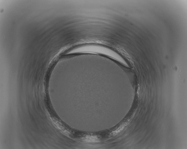 X0000085230256200703161318