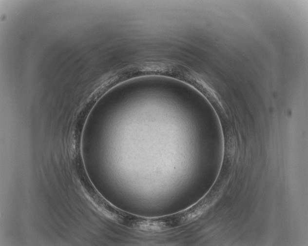X0000085230261200703161318