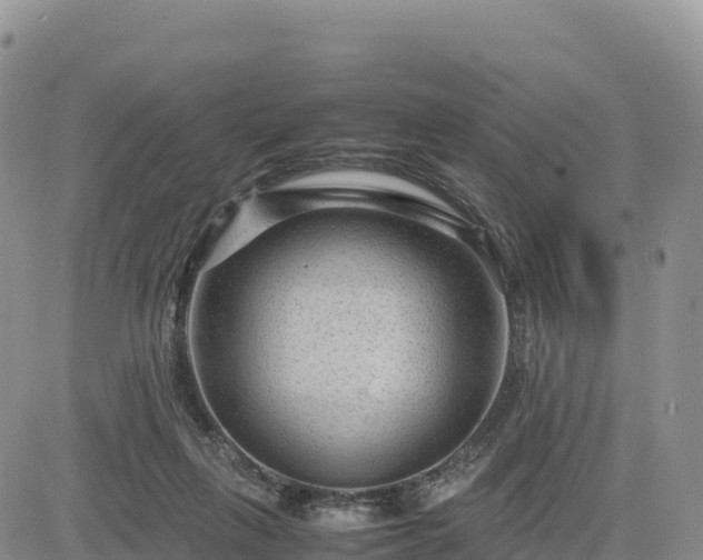 X0000085230263200703161318