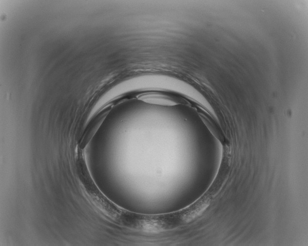 X0000085230264200703161318