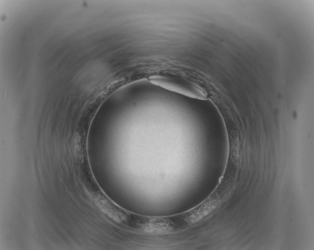 X0000085230270200703161318