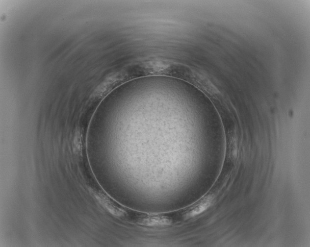 X0000085230274200703161318