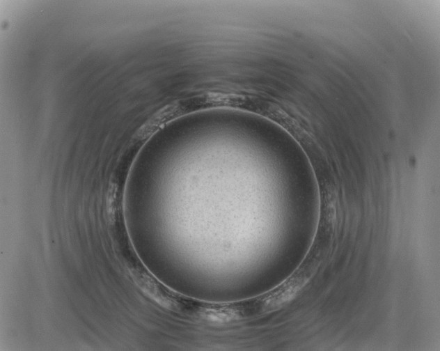 X0000085230275200703161318
