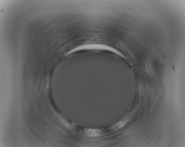 X0000085230277200703161318