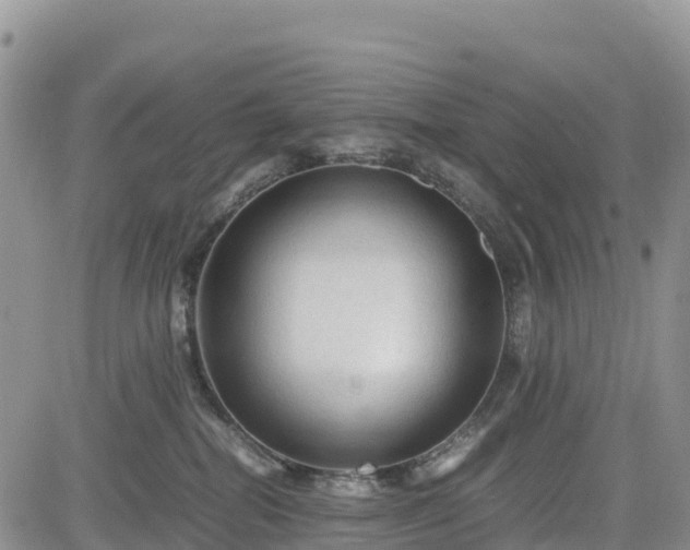 X0000085230282200703161318
