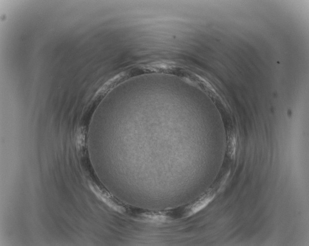 X0000085230284200703161318