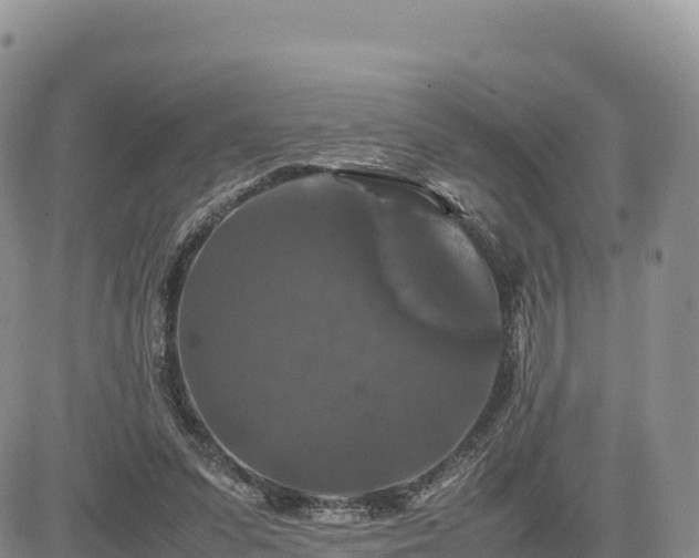 X0000085230303200703161317