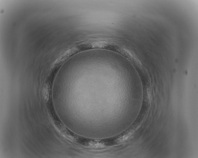X0000085230311200703161317