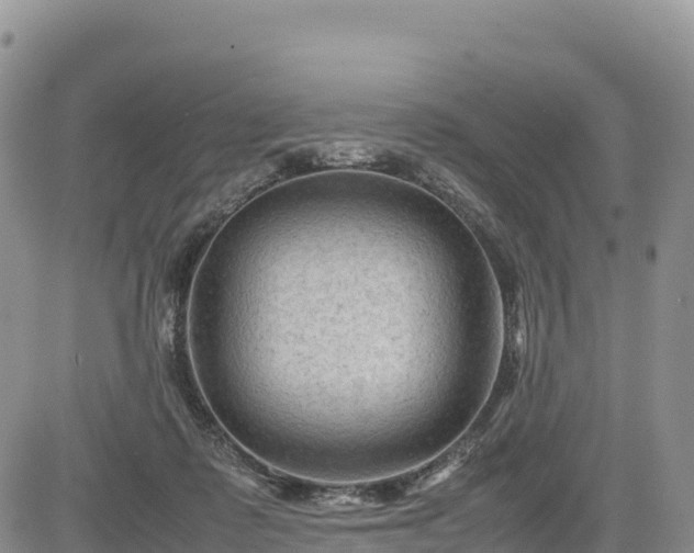 X0000085230315200703161317