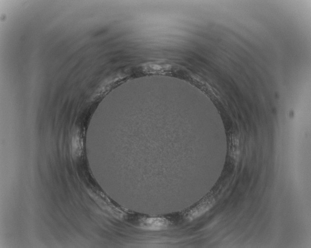 X0000085230324200703161317