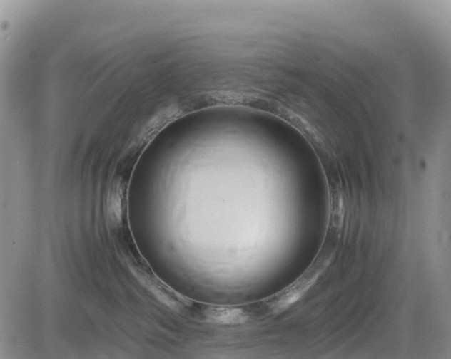 X0000085230334200703161317