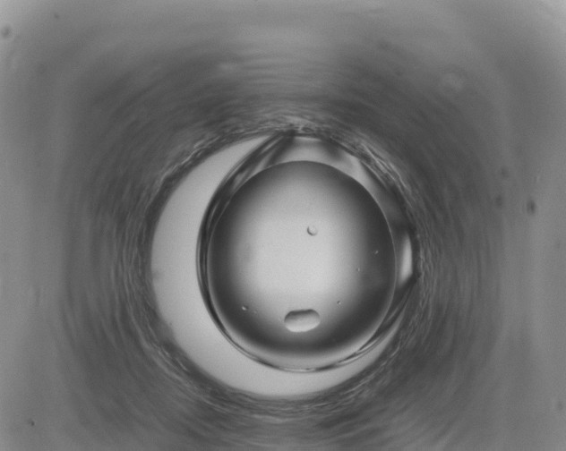 X0000085230362200703161316
