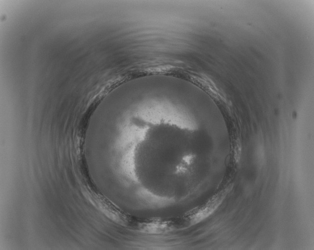 X0000085230366200703161316