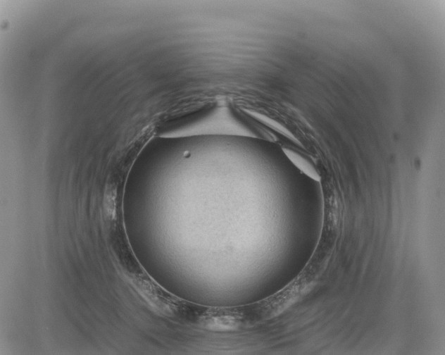X0000085230368200703161316