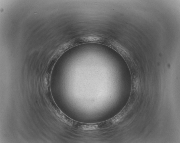 X0000085230373200703161316