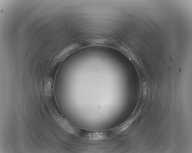 X0000085230378200703161317