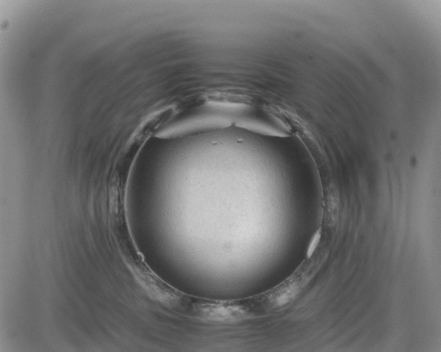 X0000085230379200703161317