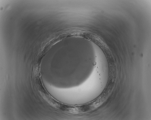 X0000085230411200703161315